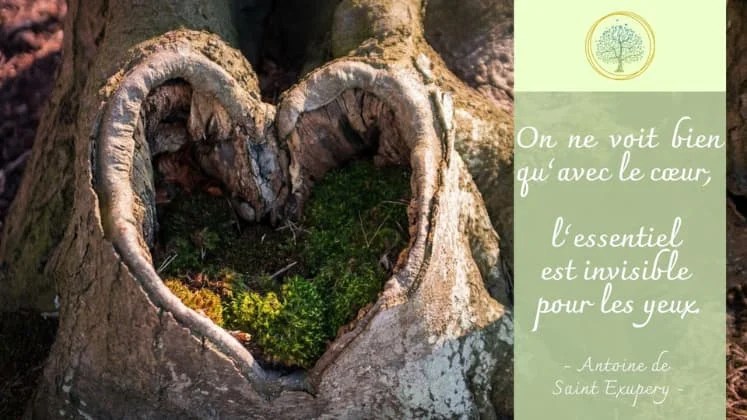 Citation A de St EXUPERY