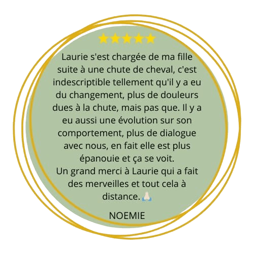 Avis soin à distance NOEMIE